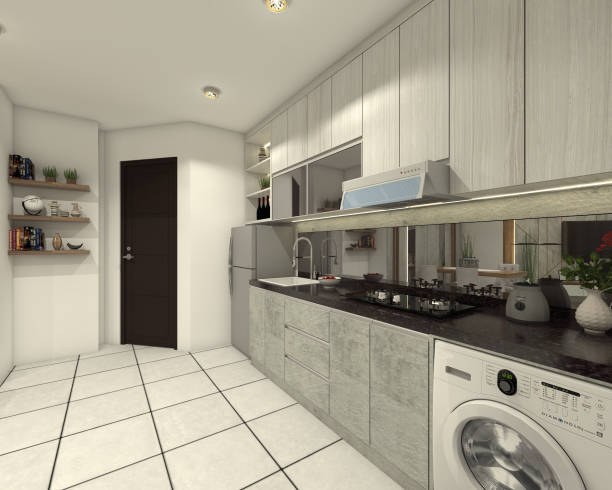 modern style pantry and laundry room combo
